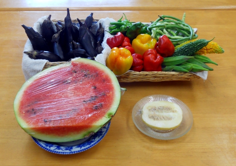 ����ۂە��c���A�W�����n��