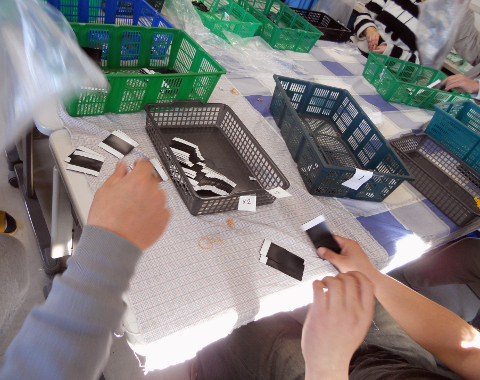 ���E�d��