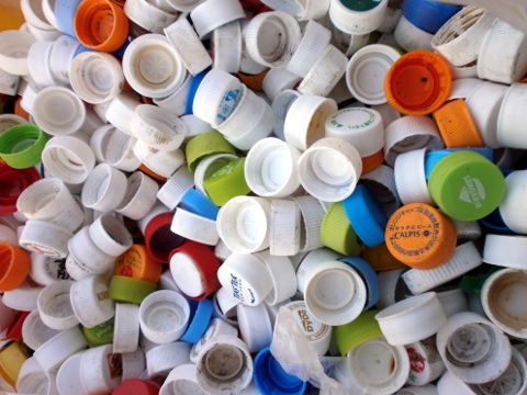 �y�b�g�{�g������