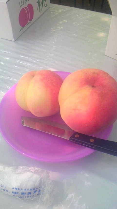 ���H���p�̓��ł�