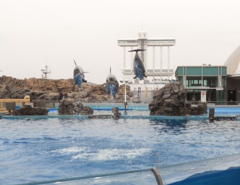 �W�����v�A�w��