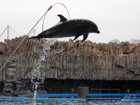 �ւ����̂����蔲��