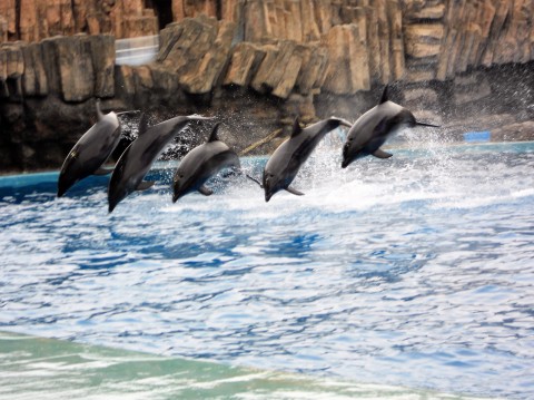 �W���W�����v