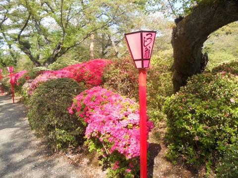 �������̕��i