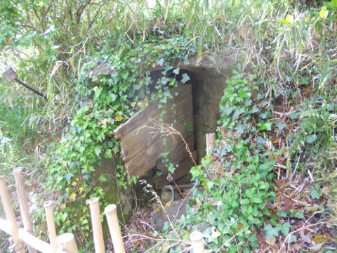 �h�󍈂��ȁH