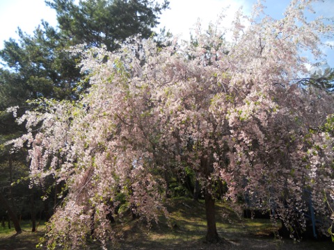 �������