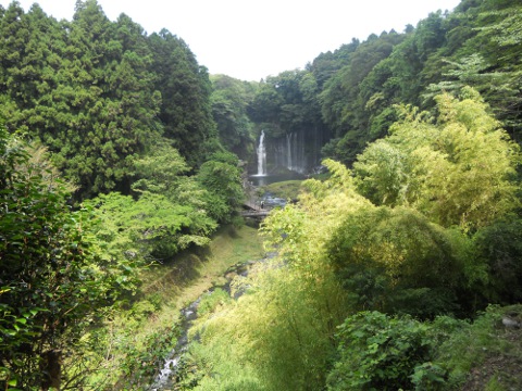 �����̑�