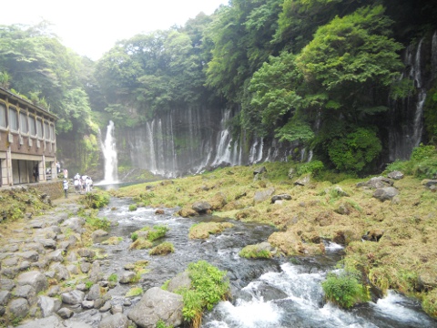 �����̑�