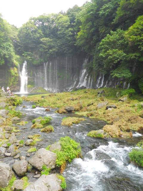 �����̑�