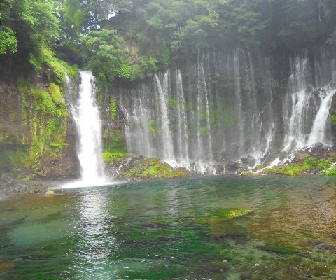 �����̑�