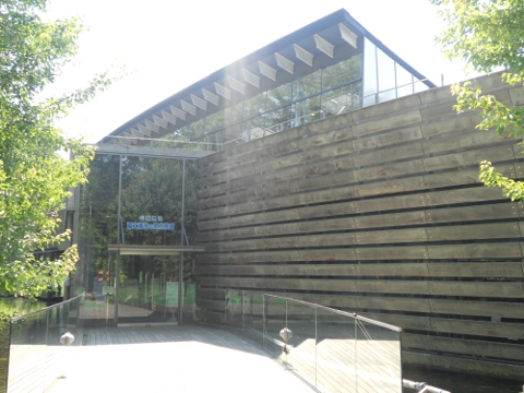 �x�m�N���̗�������