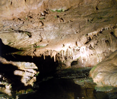 �����⓴�A���A��