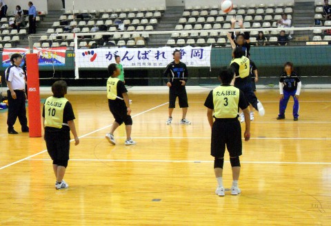 �o���[�{�[���É������