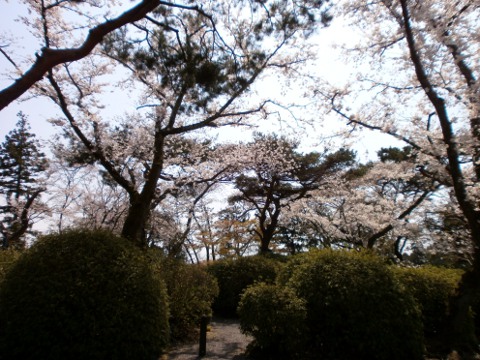 ������