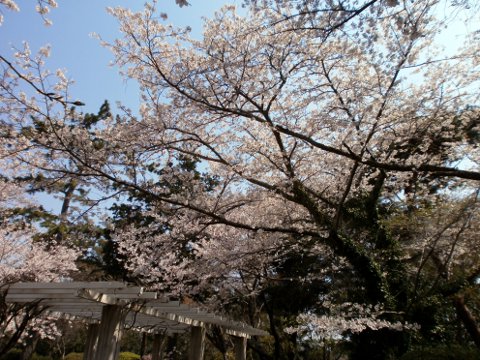 ������