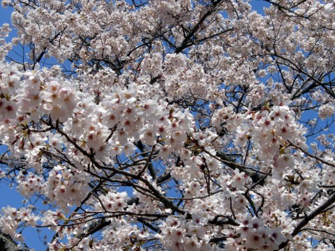 ������