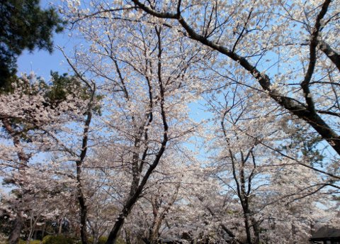 ������