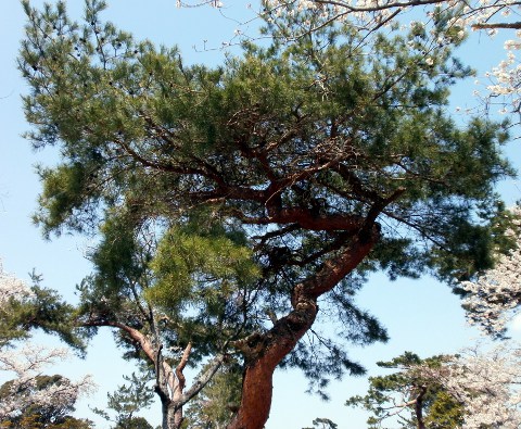 ������