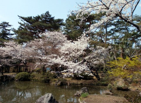 ������