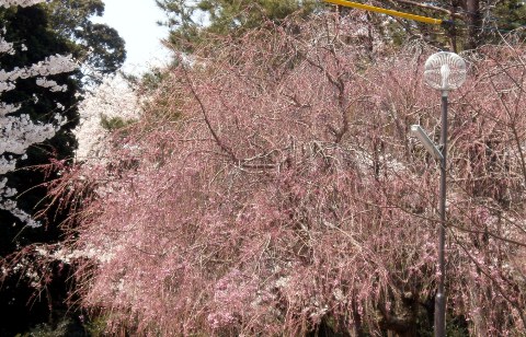 ������