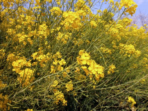 ���P�J��