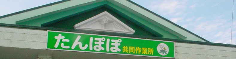 �g�b�v�C���[�W