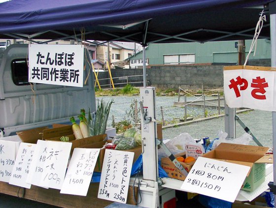 �V�N��ؔ̔�