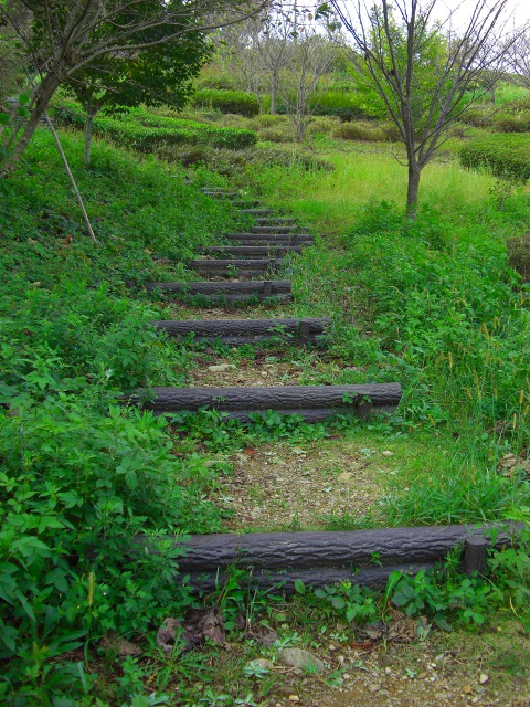 �����O�̉摜�ł�