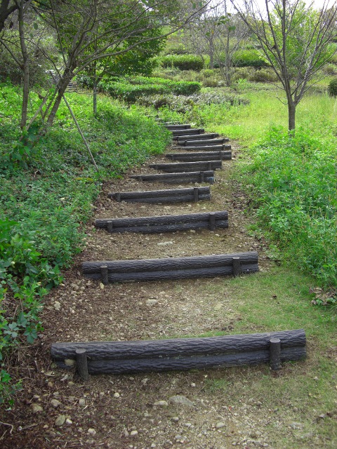 ������̉摜�ł�